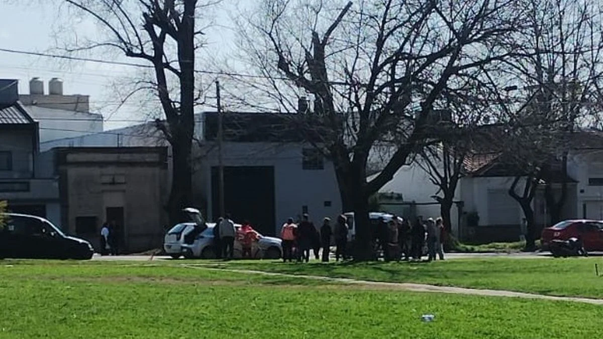 Corrió a su perro y fue atropellada en La Plata