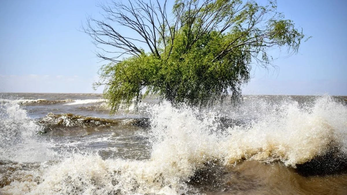 Advierten por viento intenso y crecida del Río de la Plata