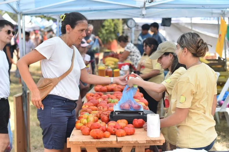 Feria, recorridos y cocina en vivo: llega la Fiesta del Tomate Platense