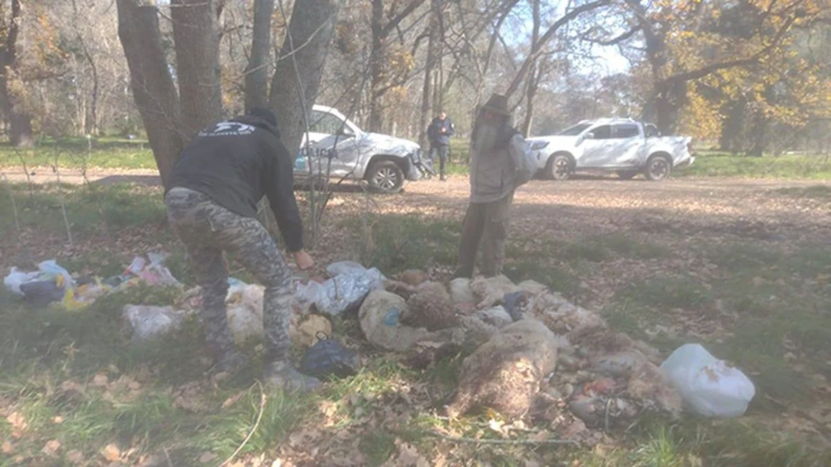 Hallaron animales decapitados y desmembrados en el Parque Pereyra