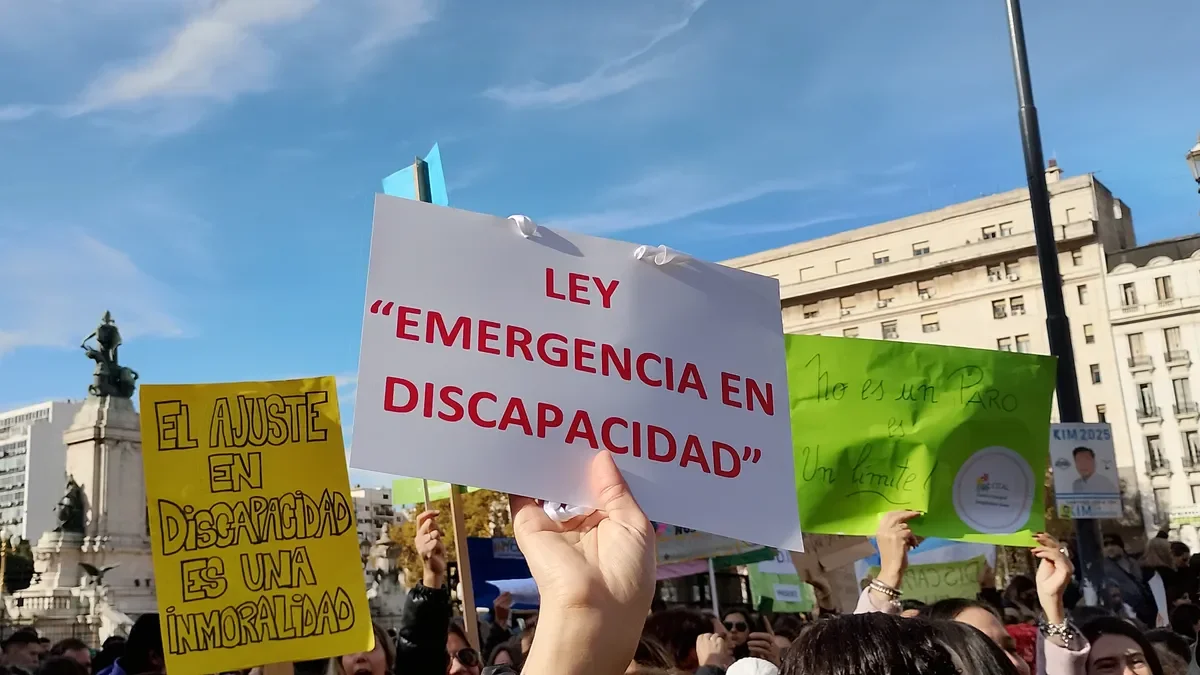 El Gobierno apeló el fallo que ordena la ejecución de la Emergencia en Discapacidad
