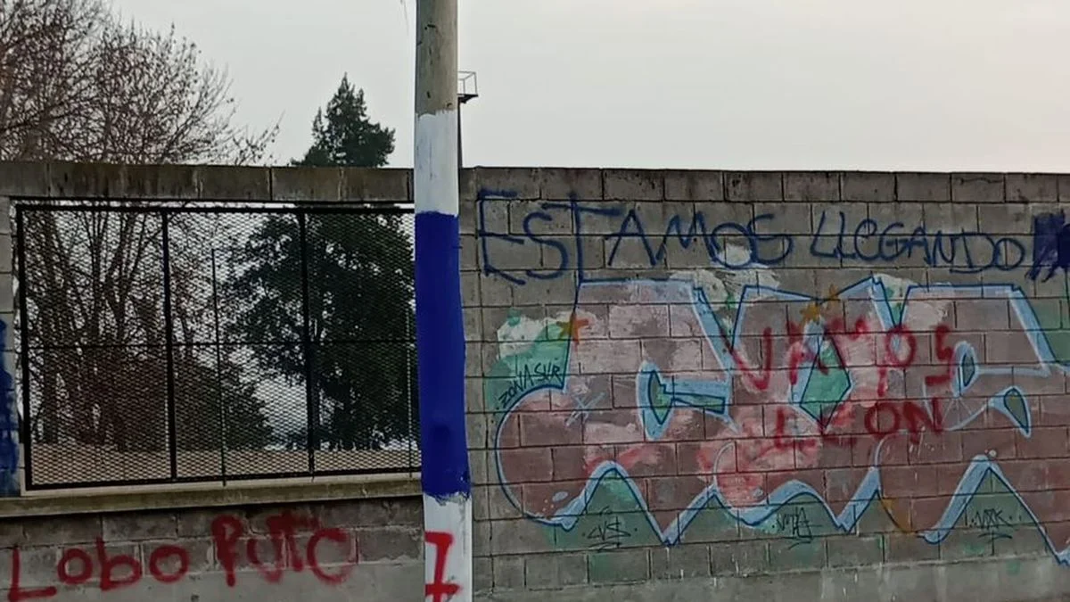 Si pintás grafitis no entrás más a las canchas de La Plata: el proyecto contra el vandalismo