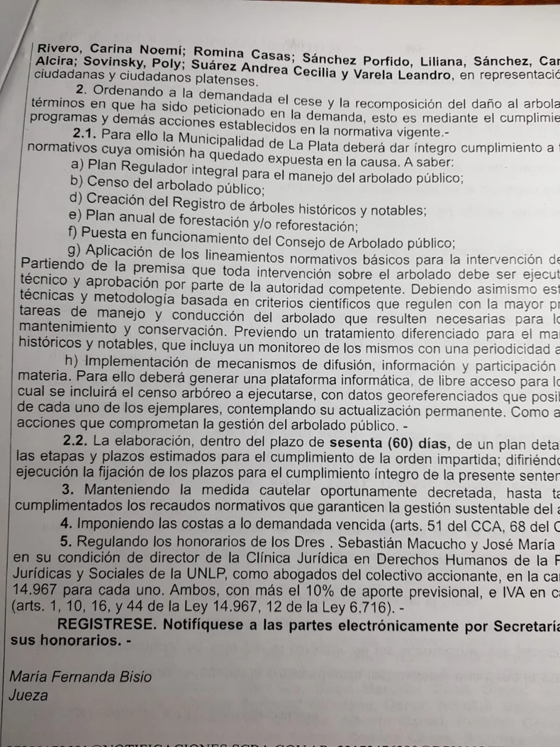 La resolución judicial sobre el arbolado que se dio en La Plata