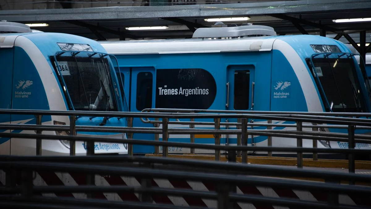 El Tren Roca circula a 30 km/h y los usuarios tardan el doble en llegar a Constitución