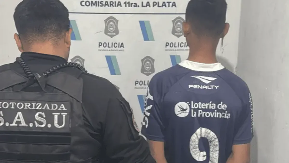 Detuvieron a un delincuente por robar en una casa de Ringuelet