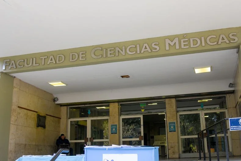 En una facultad de la UNLP hay "excremento de murciélagos y roedores en las aulas"