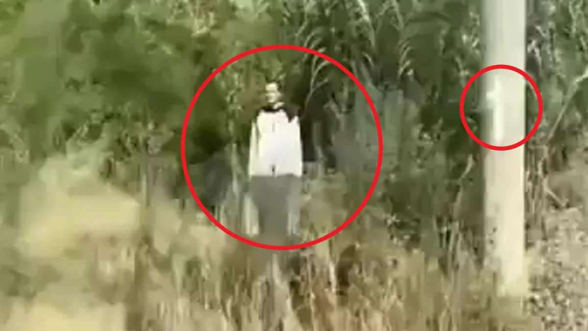 Misterio en el Tren Roca: ¿un fantasma al costado de las vías?