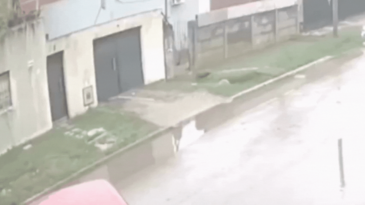 Berisso: chocó un taxi y arrastró al dueño varios metros
