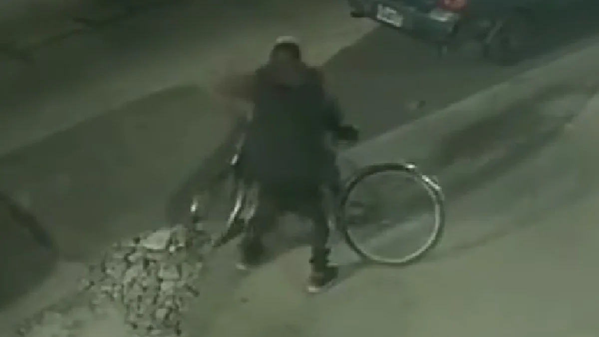 Se trepó a un primer piso para robarse una bicicleta en La Plata