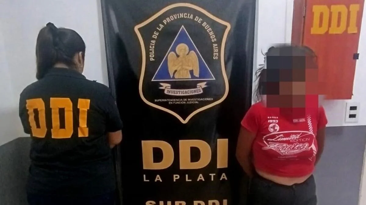 Detuvieron a una mujer por robo agravado en Berisso