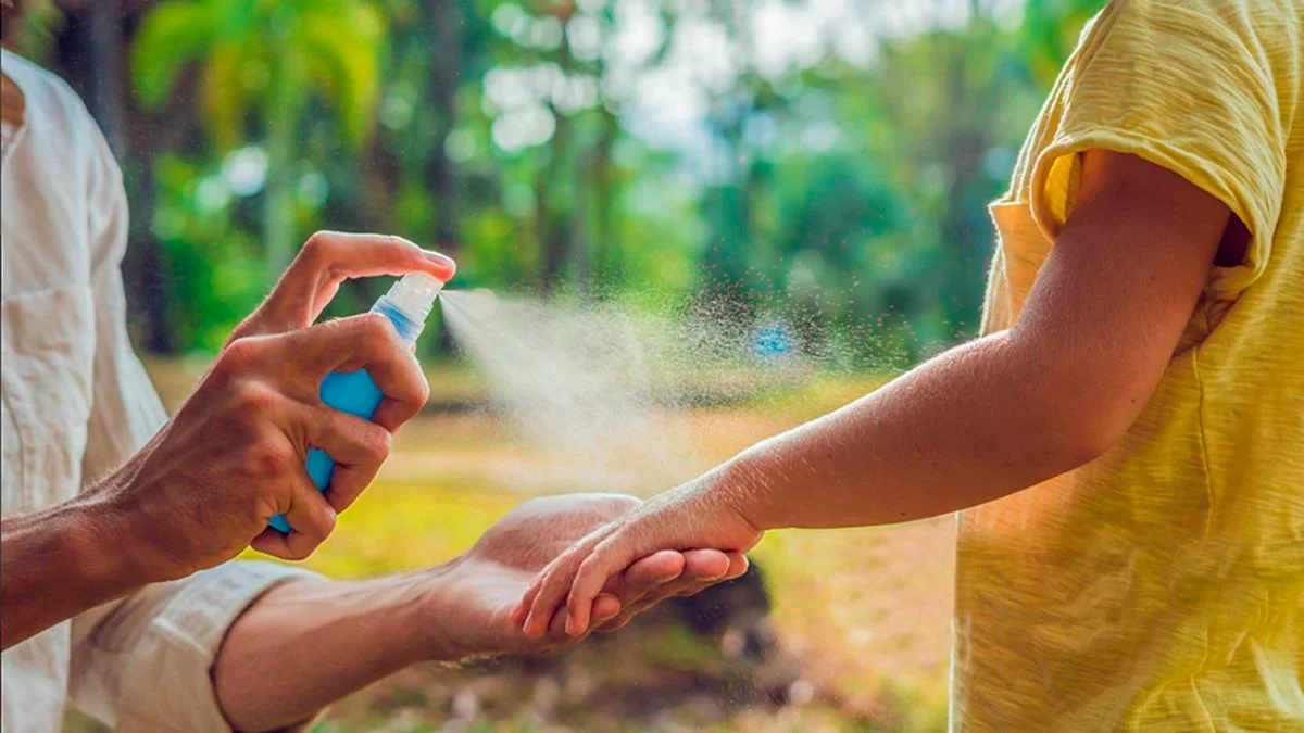 Vuelve el calor, vuelven los mosquitos: claves para combatir el dengue