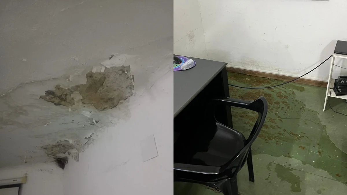 Grave situación en el Hospital San Martín: materia fecal en los techos y ratas en las salas