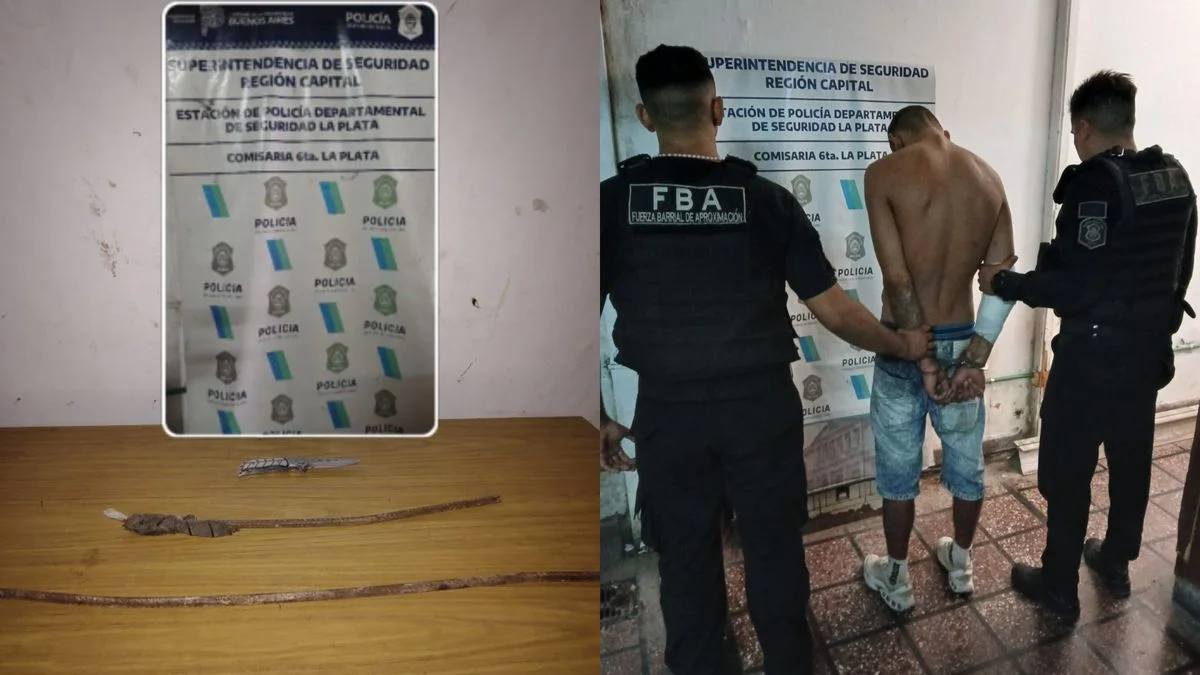 Apuñaló su vecino y le pegó a una policía en Tolosa
