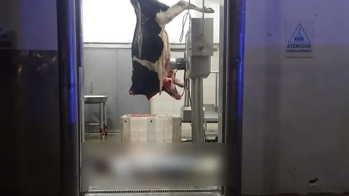 Falleció un trabajador en el Frigorífico Gorina