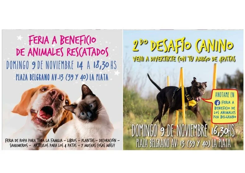 Plaza Malvinas y Plaza Belgrano de La Plata realizar&aacute;n ferias para perros y gatos rescatados