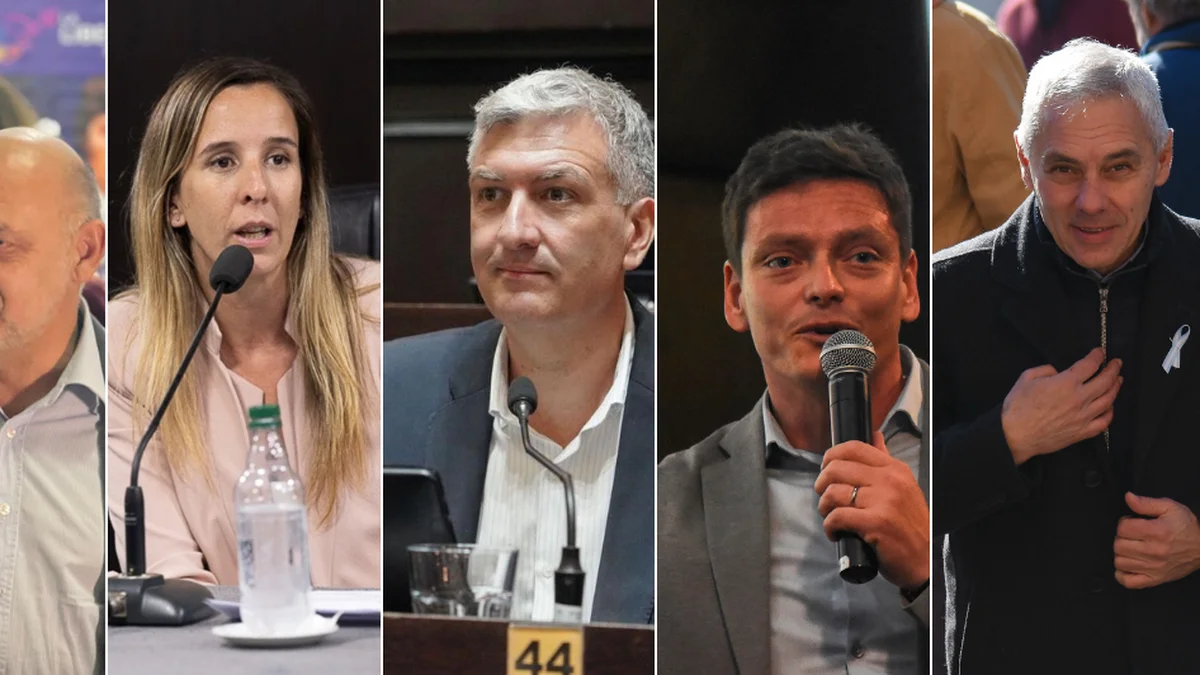 Ante la detención de Cristina, las voces de los políticos