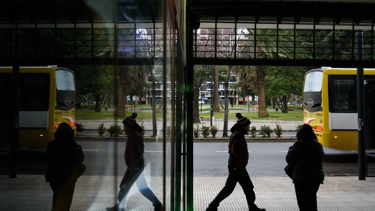 Recomendaciones para atravesar el frío polar en La Plata