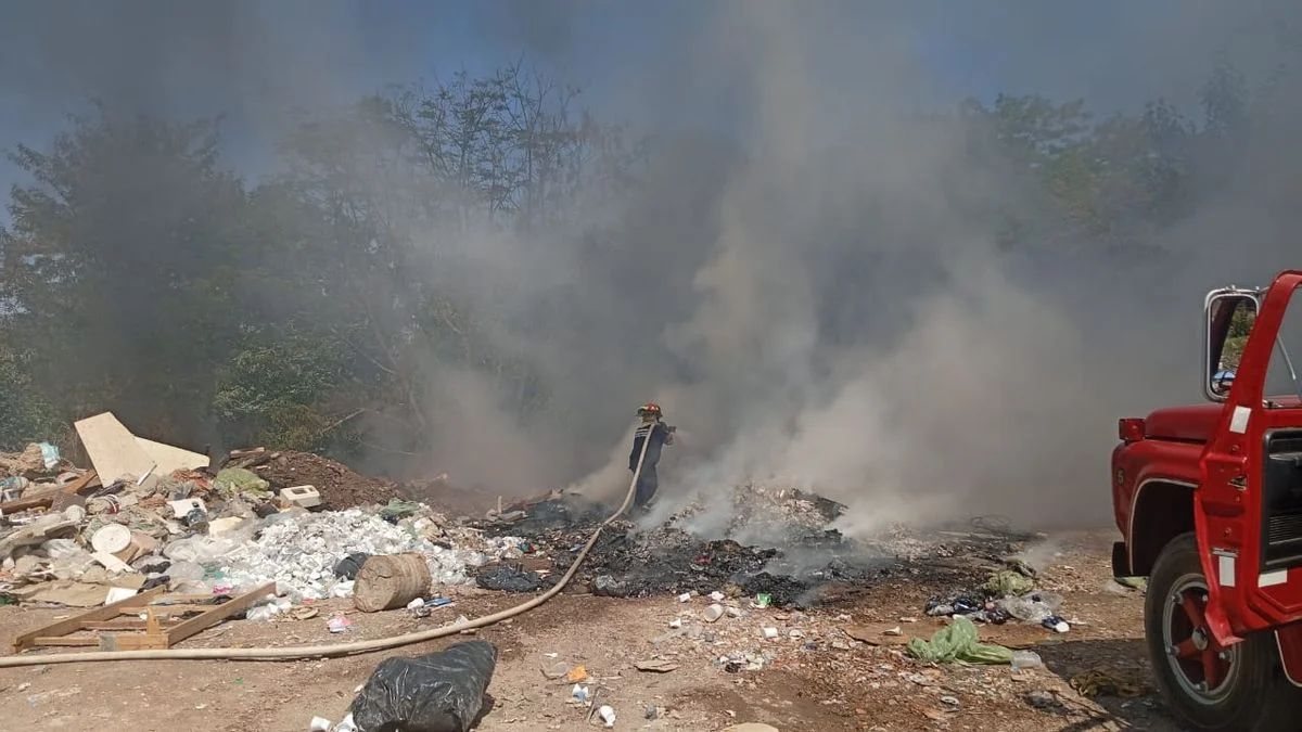 Preocupación por dos nuevos incendios en La Plata