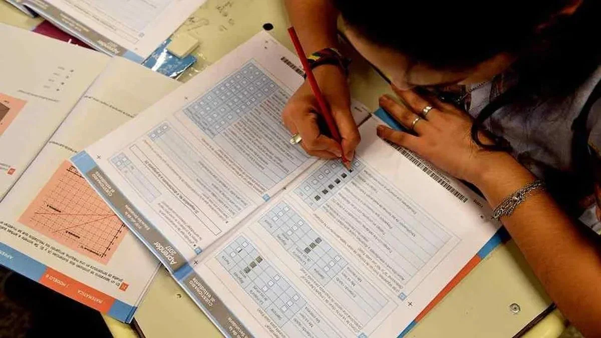 Los resultados de la Prueba Aprender llegaron a la legislatura bonaerense