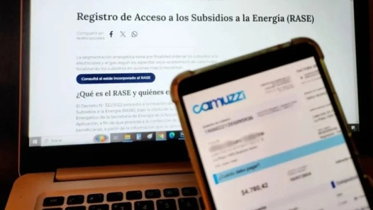 El nuevo esquema en los subsidios de luz y gas se postergará hasta febrero