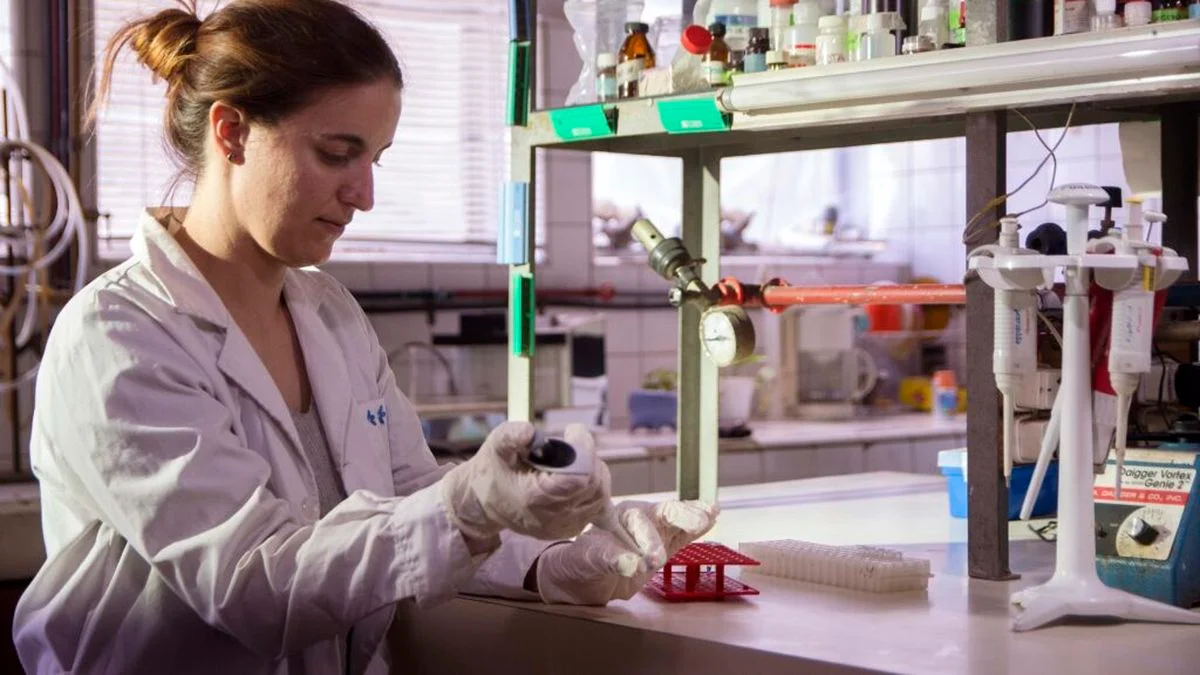 Un descubrimiento de la UNLP podría prevenir arritmias cardíacas