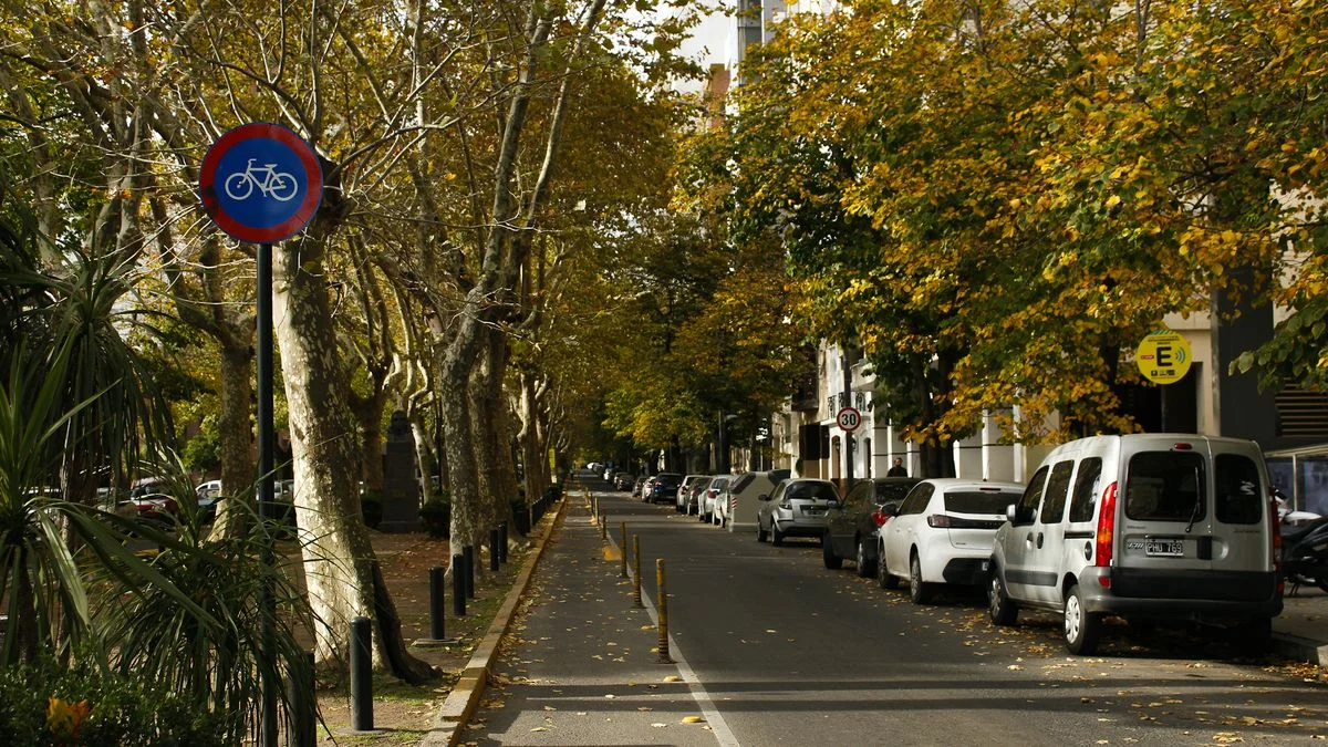 Viernes soleado pero fresco en La Plata