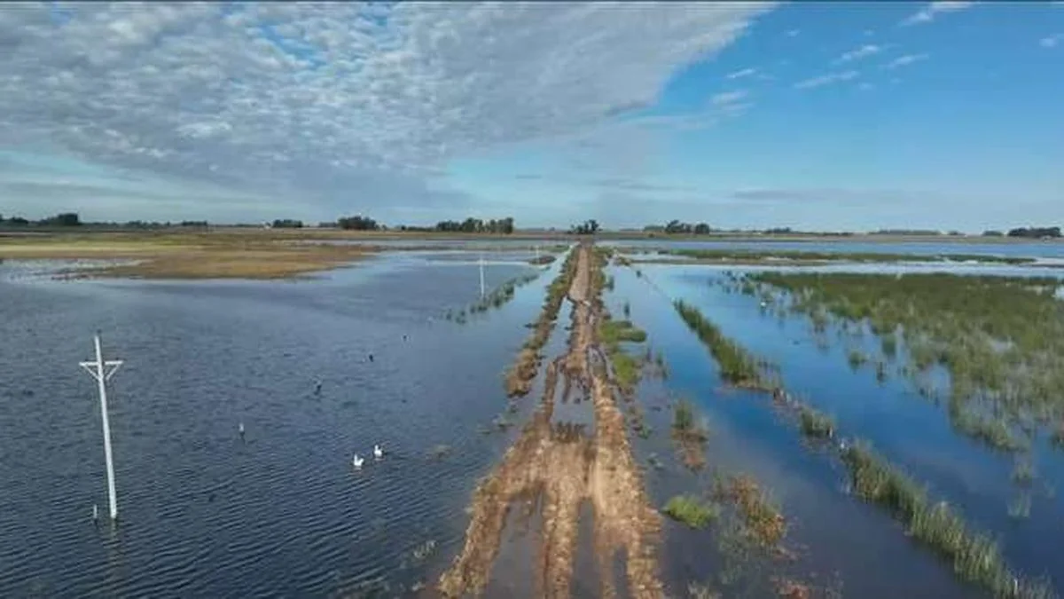 Cruces entre Provincia y Nación por las inundaciones en el campo bonaerense