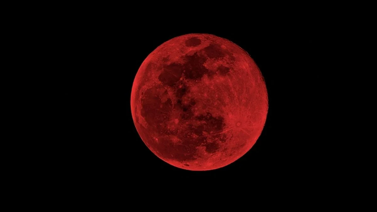 Luna Roja en La Plata: ¿a qué hora se podrá ver el primer eclipse del año?