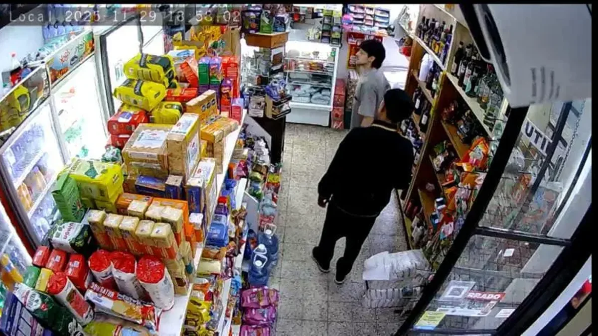 Cayeron dos delincuentes que robaron un kiosco en La Plata