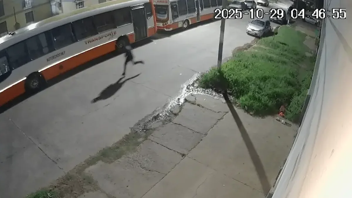 Violento robo a una jubilada en Ringuelet