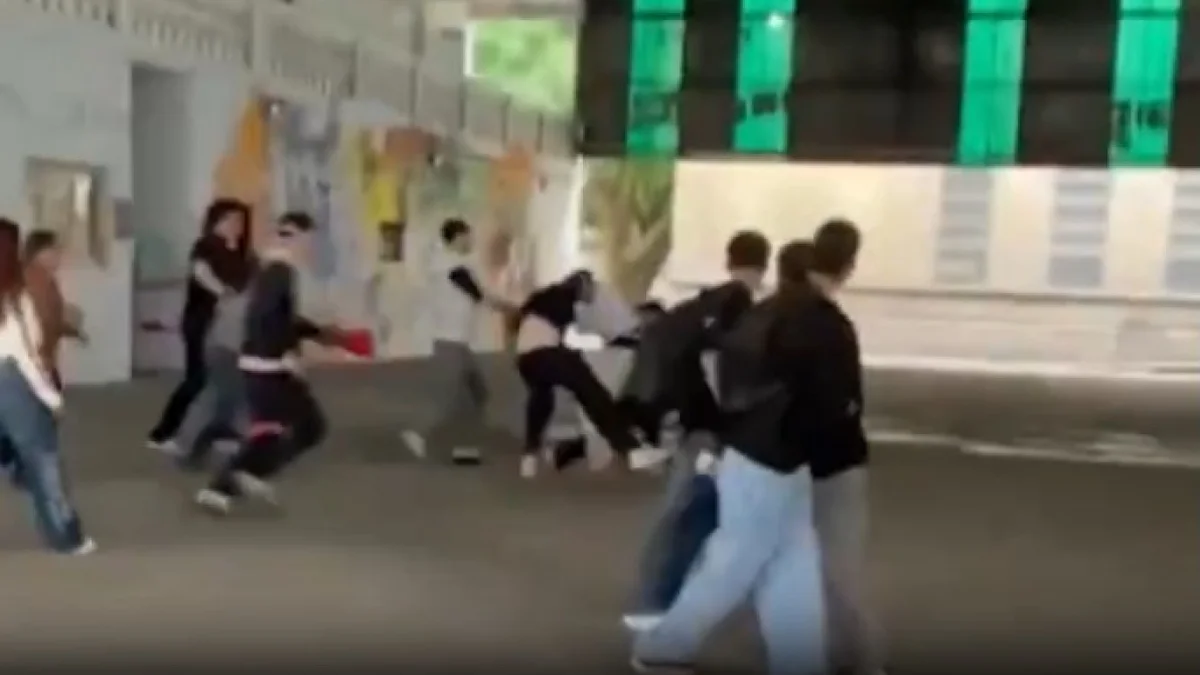 Lo echaron del colegio y juró vengarse: la historia detrás de la pelea del Normal 2