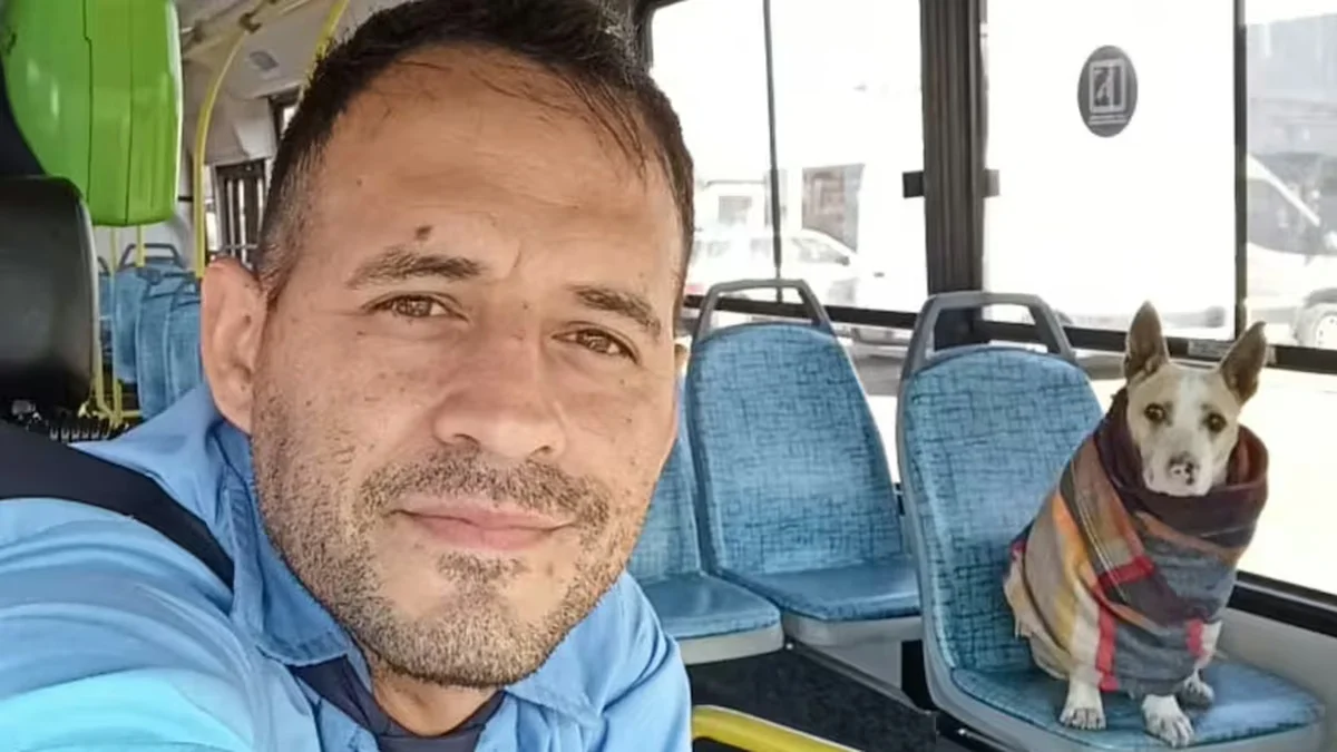 Tristeza en La Plata: murió "Corchito", el perro TikToker que subía a los micros Oeste