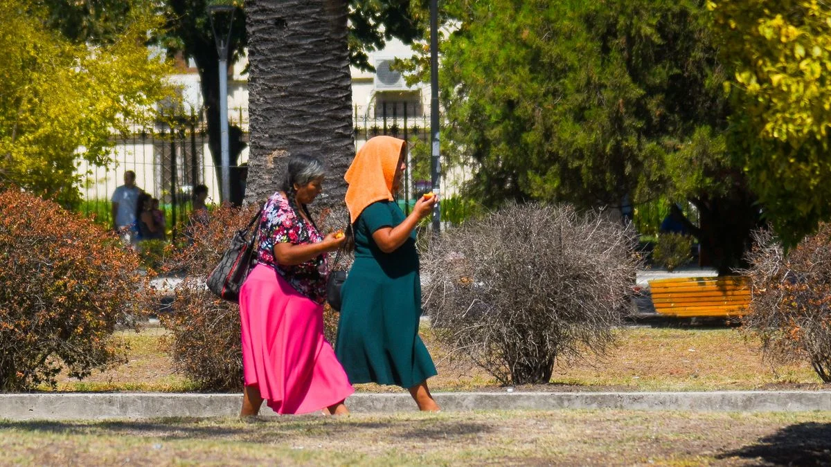 Hasta cuándo se extiende la ola de calor en La Plata