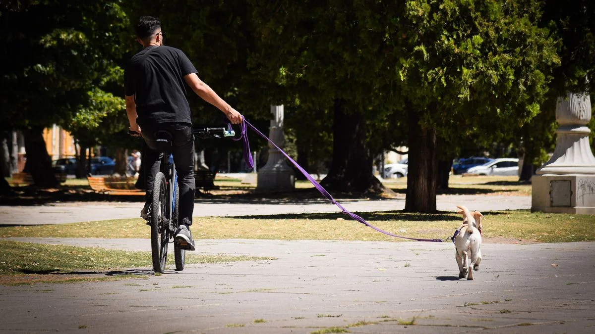 Lunes feriado con cielo estable en La Plata
