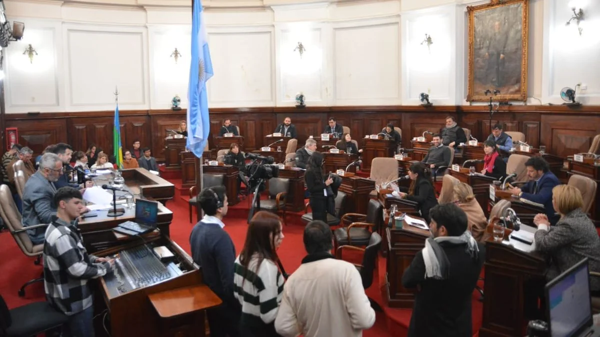 Los cambios que se debaten en el Concejo Deliberante de La Plata