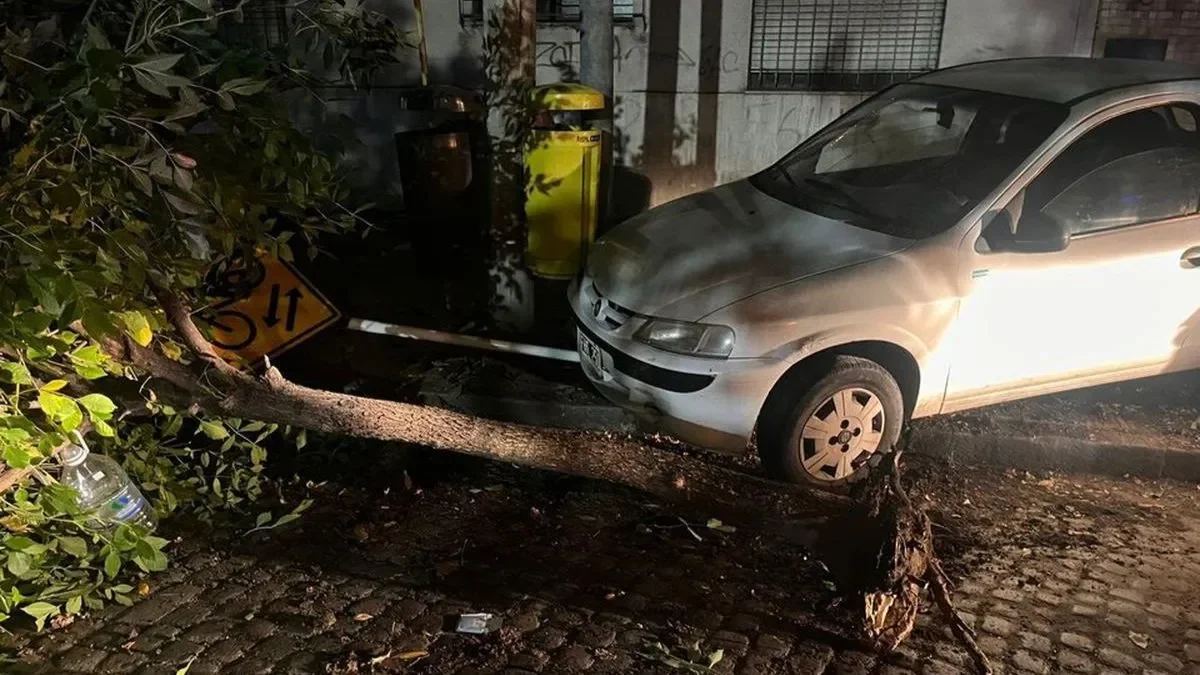 Oficial del SPB manejaba borracho en contramano, quiso escapar y chocó contra un árbol