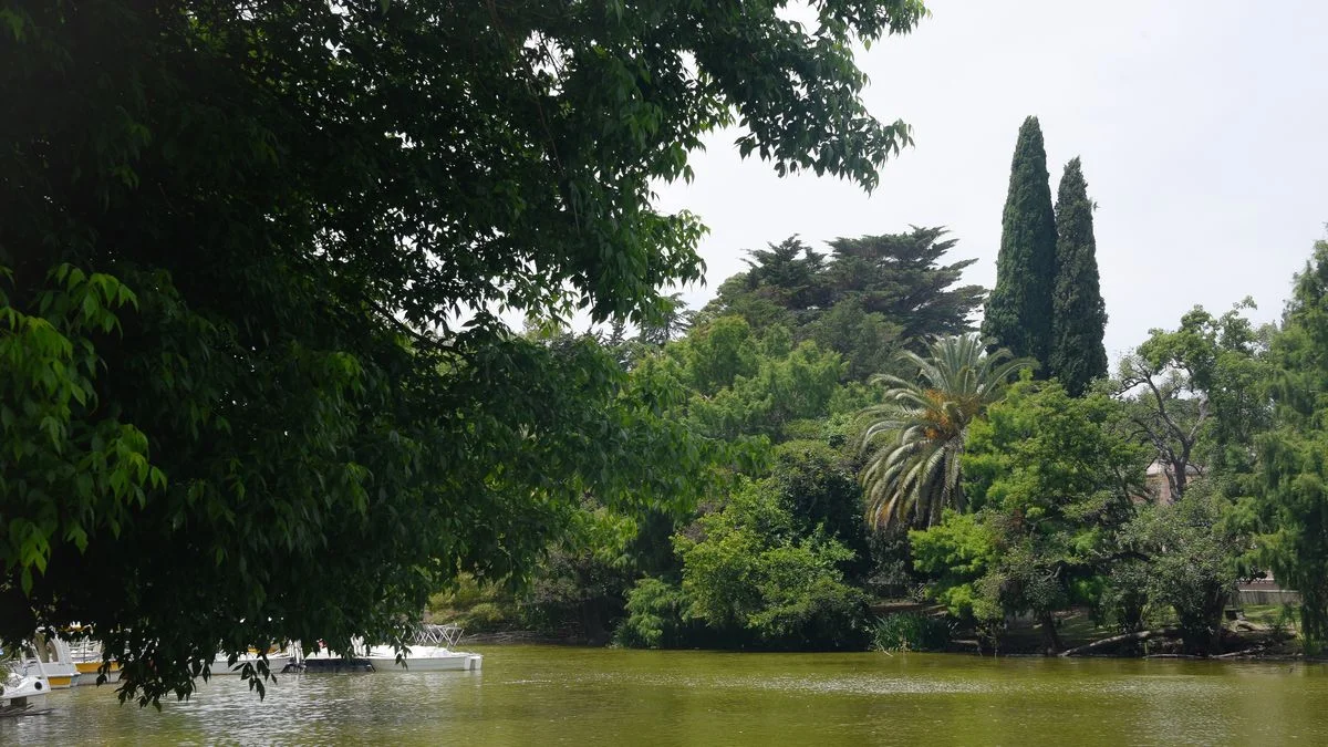 Bosque de terror: denuncian robo y abuso detrás del Albert Thomas