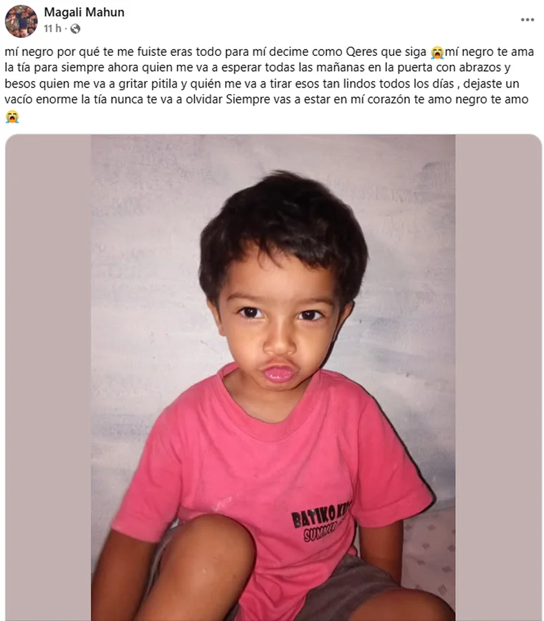 El emotivo posteo de la t&iacute;a del ni&ntilde;o fallecido en Tolosa.&nbsp;