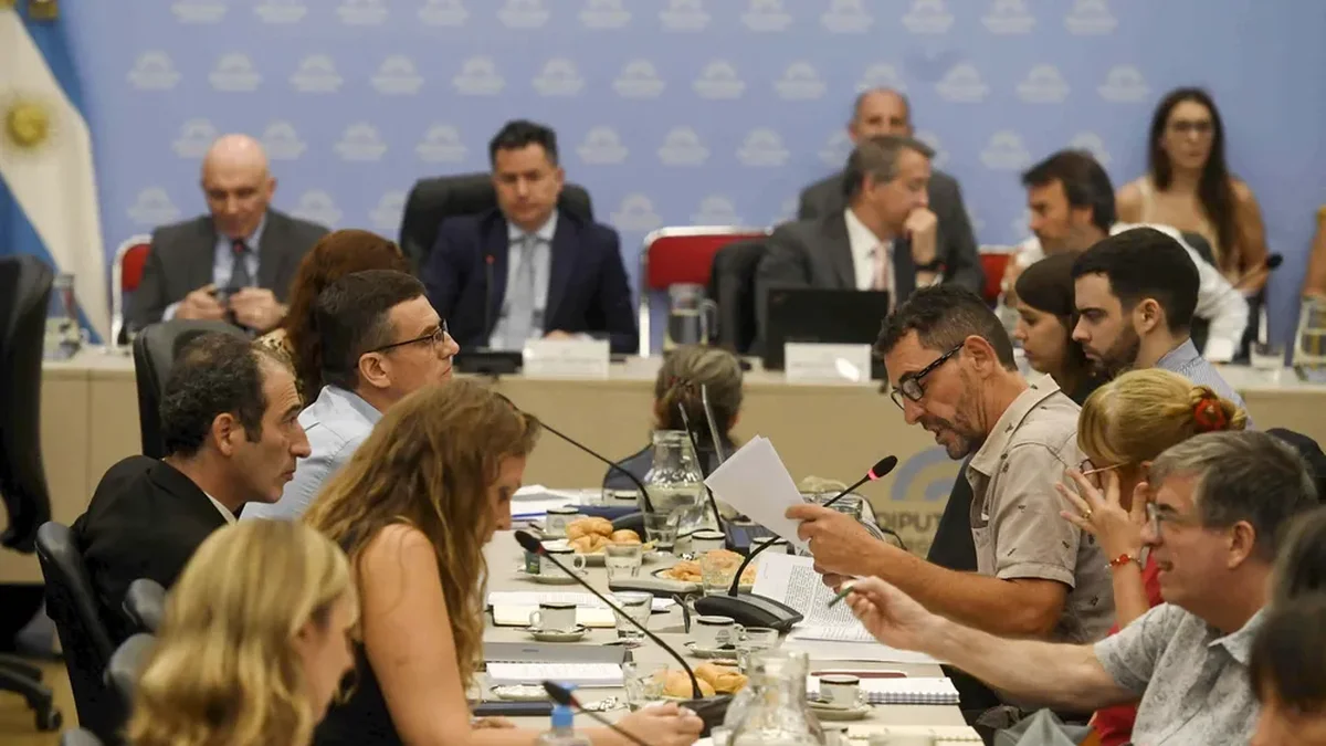 El Gobierno consiguió el dictamen para suspender las PASO