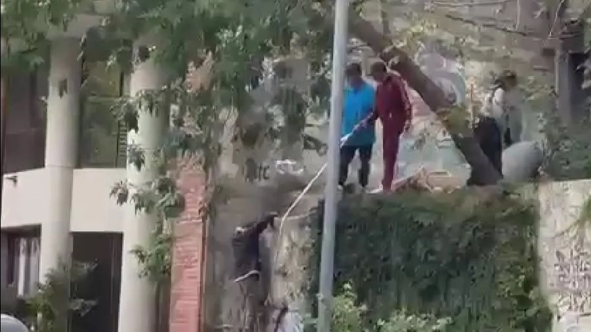 Alerta en el centro de La Plata por un nuevo intento de usurpación en un terreno abandonado