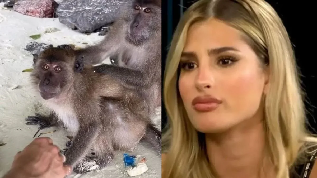 Julieta Poggio fue atacada por monos en Tailandia