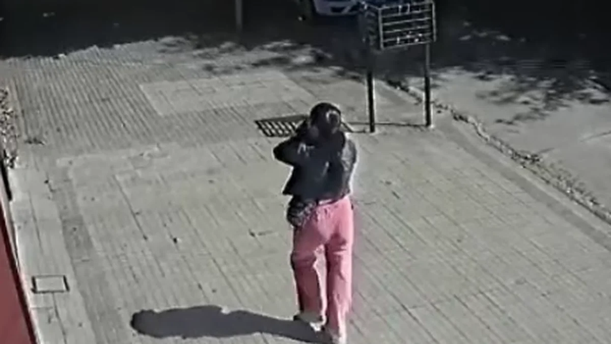 Se robaron a una gata en La Plata