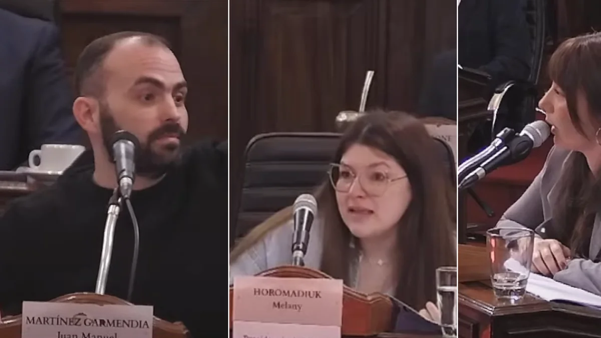 El debate por el triple femicidio llegó al Concejo Deliberante de La Plata