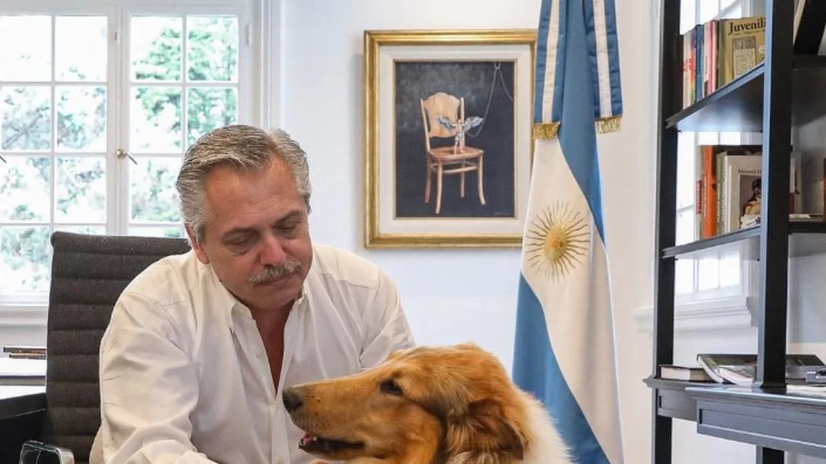 Murió Dylan, el perro del ex presidente Alberto Fernández