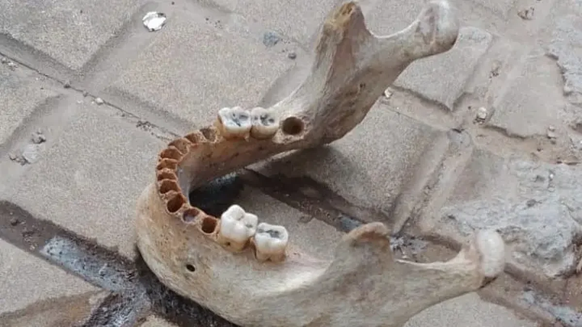 Hallaron restos óseos en pleno centro de La Plata