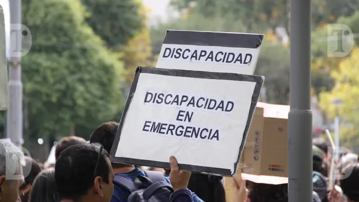 El Gobierno reglamentó la Ley de Emergencia Nacional en Discapacidad: los cambios