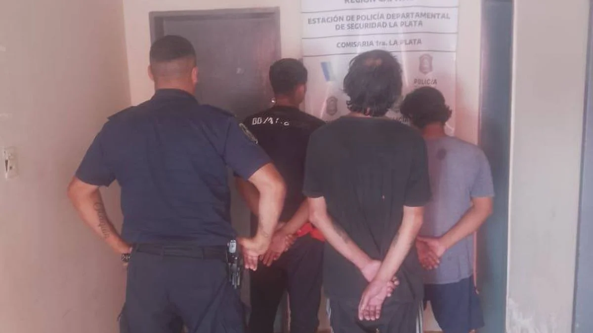 Comerciantes denunciaron a cinco trapitos en La Plata
