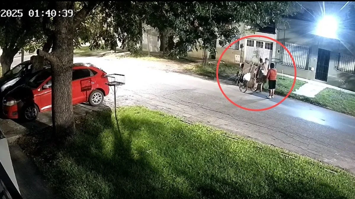 Ya no saben qué robar en Los Hornos: se llevaron un arbolito recién plantado