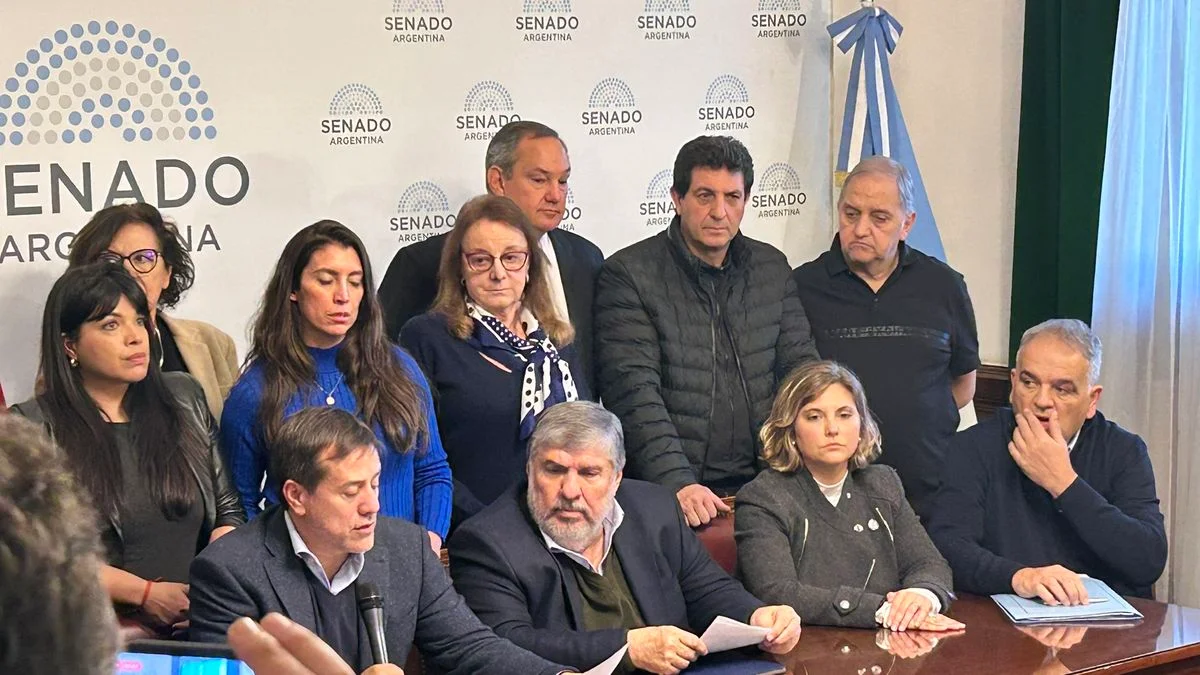 Senadores de Unión por la Patria cruzaron a Milei por los vetos
