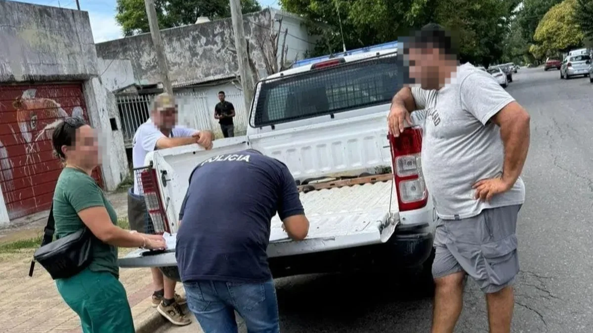 San Carlos: rescataron a más de 20 perros de un criadero clandestino